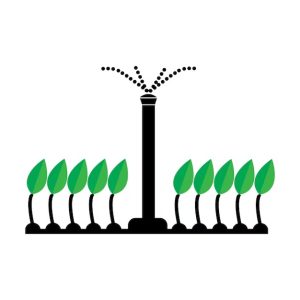 IRRIGAZIONE